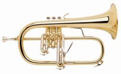 Bach Flugelhorn Stradivarius Flugel horns