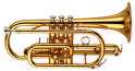 Bach Stradivarius Cornets