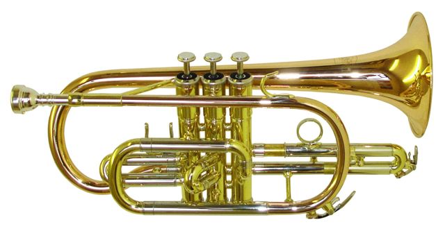 Rosetti Series 5 Cornet.&nbsp;Yellow Brass Bell