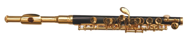 TJ Bristol Piccolo gold plated. Similar to a Yamaha 32 Piccolo