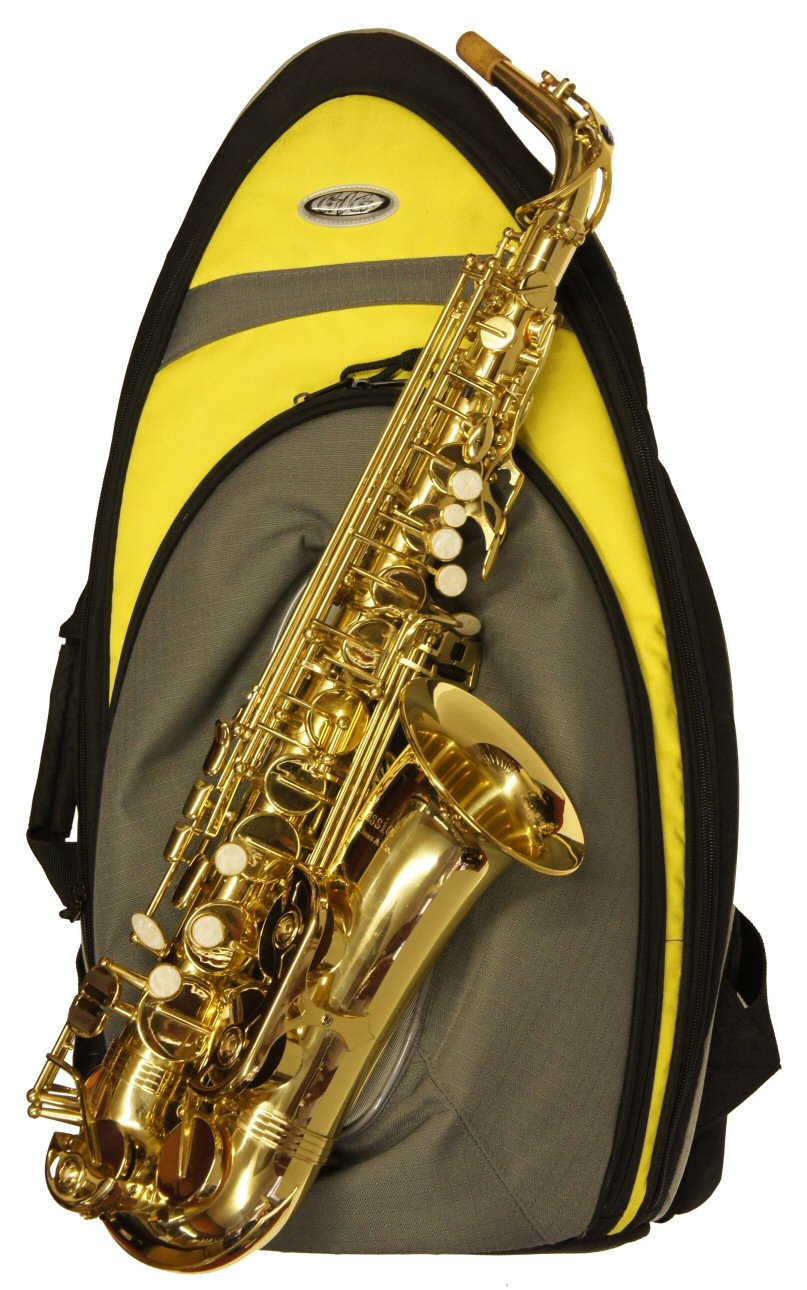 Second Hand Trevor James Classic Alto Sax
