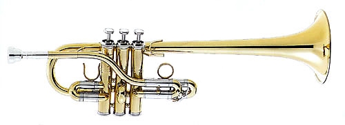 Weril Regium Eb/D Trumpet