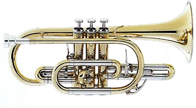 Weril Cornets Regium Cornet