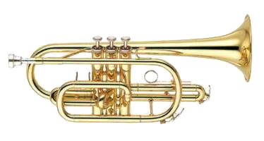 Yamaha 2310 Long Model Cornet. Yamaha standard cornets have been designed to incorporate many of the features and characteristics of our top pro models, yet at a standard model price. They offer a beautiful traditional cornet sound, and have highly accurate intonation and a comfortable playability. 