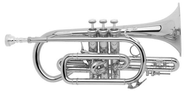 Bach Stradivarius Cornet. Features the short (Shepherd's Crook) design for the dark sound popular with British brass bands. 