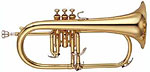 Jupiter Flugel Horns