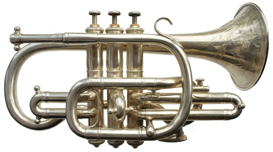 Higham Cornet C1893