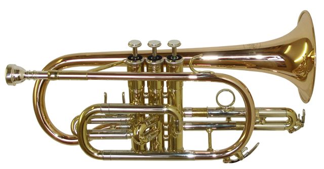 Rosetti Series 5 Cornet. Rose Brass Bell