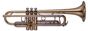 Rosetti Series 7 Trumpet Yellow Brass Bell