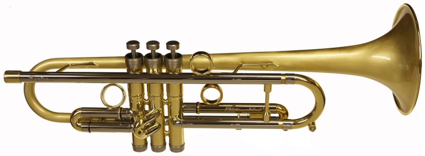 Taylor Chicago Storm Trumpet