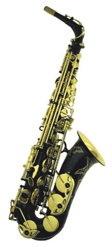 Yanagisawa A901B Alto Sax Black